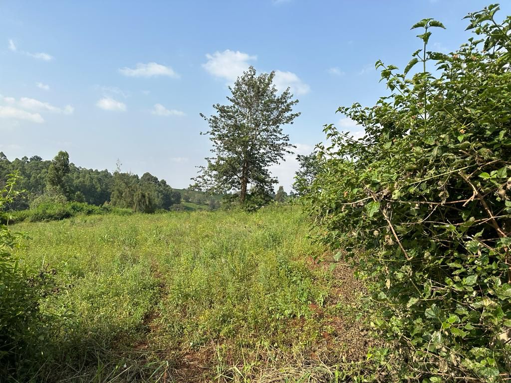 1/4 Acre Land For Sale
