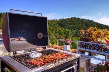 Alina Ridge Apartments