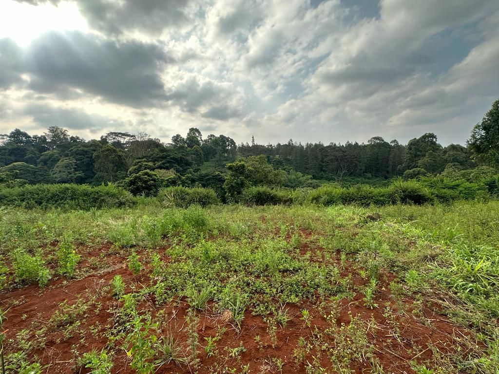 1/4 Acre Land For Sale