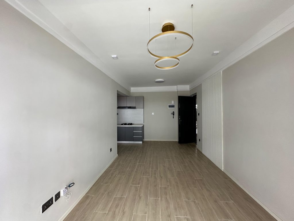 Cheap 1-Bedroom Apartment